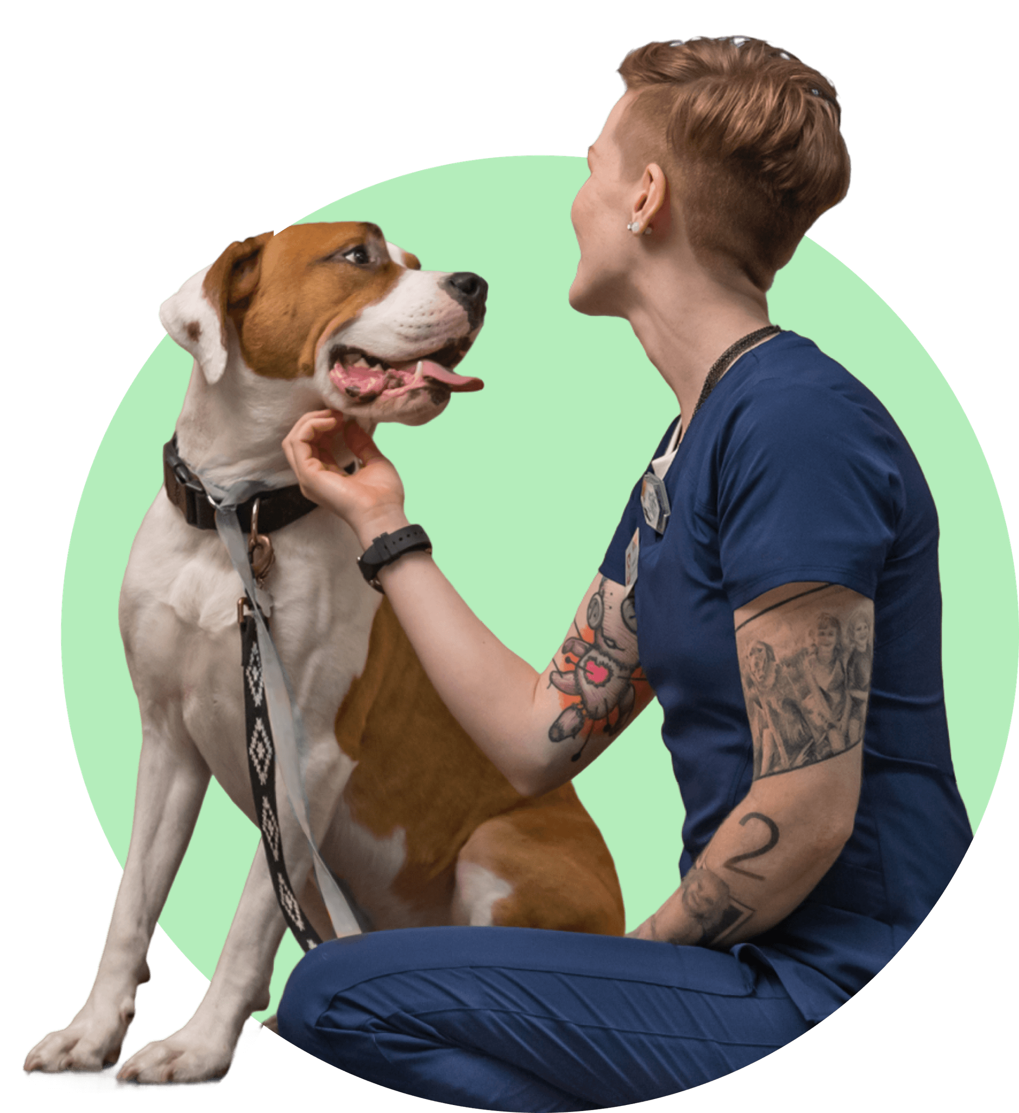 Veterinarian with pet